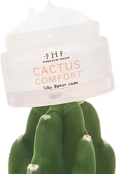 Cactus Comfort
